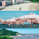温州南麂岛 - 温州市旅游 缩略图 5