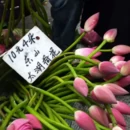 苏州旅游 缩略图 3