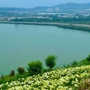 滇池 - 昆明市旅游 缩略图 2