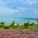 滇池 - 昆明市旅游 缩略图 5