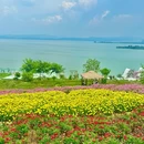 滇池 - 昆明市旅游 缩略图 7