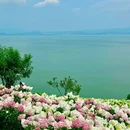 滇池 - 昆明市旅游 缩略图 6