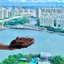 太古汇1座 - 广州市旅游 缩略图 1