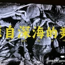 中兴通讯有限公司 - 三亚市旅游 缩略图 4