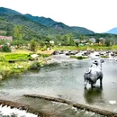 鸭洞河沙滩戏水露营地 - 广州市旅游 缩略图 6
