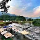 鸭洞河沙滩戏水露营地 - 广州市旅游 缩略图 8
