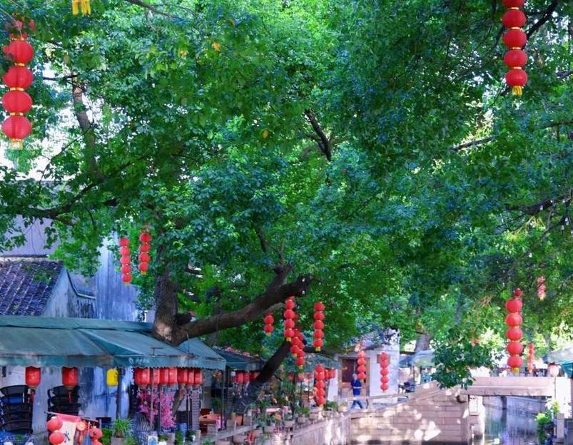 同里古镇风景区 - 苏州市旅游 1