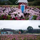 捞渔河国家湿地公园 - 昆明旅游 缩略图 2