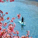 河津町 - 日本旅游 缩略图 2