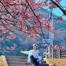 河津町 - 日本旅游 缩略图 4