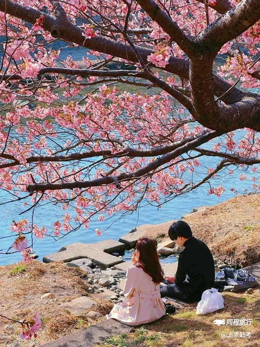 河津町 - 日本旅游