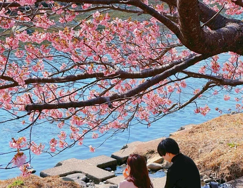 河津町 - 日本旅游 1