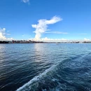 鱼珠码头 - 广州市旅游 缩略图 4