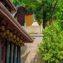 大佛寺风景区 - 绍兴市旅游 缩略图 3
