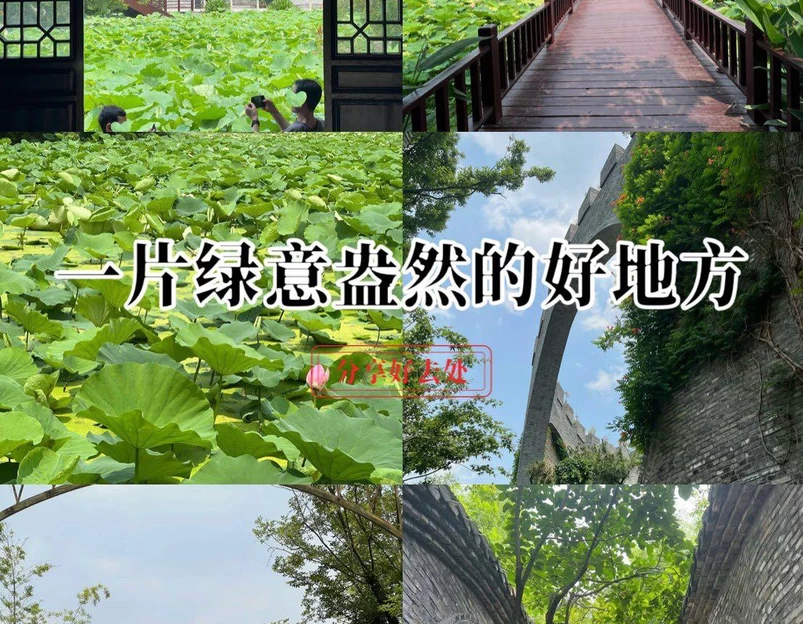 扬州东高铁站美居酒店 - 扬州市旅游 1