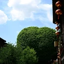 福州三坊七巷历史文化街区 - 福州市旅游 缩略图 4