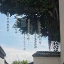 福州三坊七巷历史文化街区 - 福州市旅游 缩略图 6