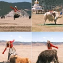 香格里拉岛 - 马尔代夫旅游 缩略图 4