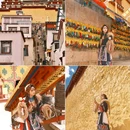 香格里拉岛 - 马尔代夫旅游 缩略图 6