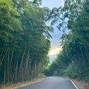 大洋里星空露营基地 - 湖州市旅游 缩略图 6