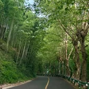 大洋里星空露营基地 - 湖州市旅游 缩略图 7