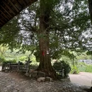大洋里星空露营基地 - 湖州市旅游 缩略图 8