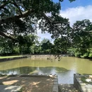 林则徐销烟池旧址 - 东莞市旅游 缩略图 3
