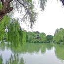 扬州花园 - 青岛市旅游 缩略图 8