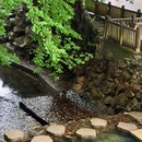 深溪岕 - 常州市旅游 缩略图 3