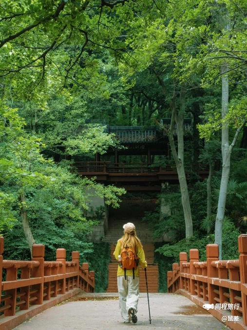 明孝陵景区 - 南京市旅游
