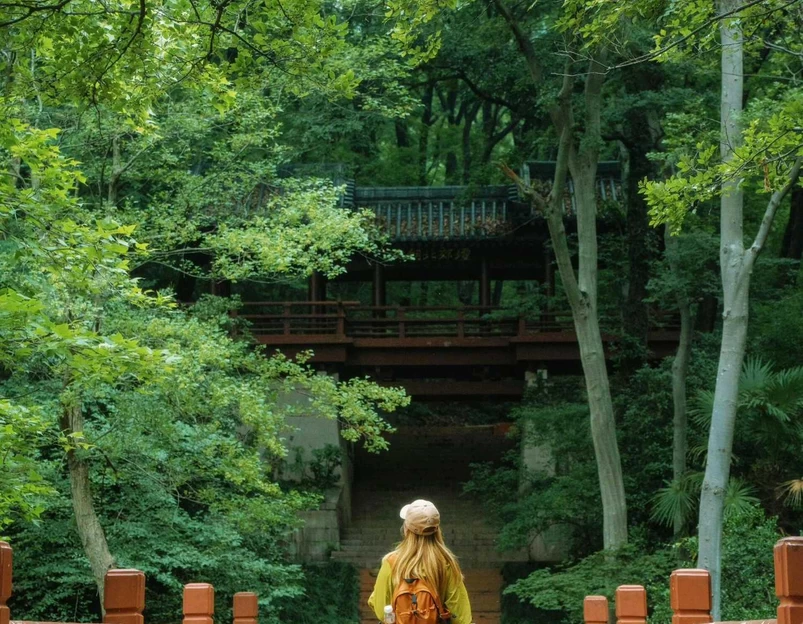 明孝陵景区 - 南京市旅游 1