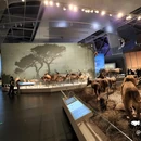 天津·国家海洋博物馆 - 天津市旅游 缩略图 6