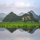 普者黑风景区 - 文山壮族苗族自治州旅游 缩略图 8
