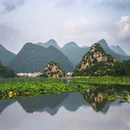 普者黑风景区 - 文山壮族苗族自治州旅游 缩略图 7