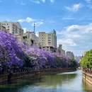 教场中路 - 昆明市旅游 缩略图 5