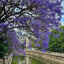 教场中路 - 昆明市旅游 缩略图 8