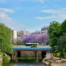 教场中路 - 昆明市旅游 缩略图 7