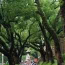 中山大学(广州校区南校园) - 广州市旅游 缩略图 5