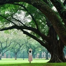 中山大学(广州校区南校园) - 广州市旅游 缩略图 2