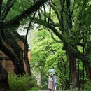 中山大学(广州校区南校园) - 广州市旅游 缩略图 1