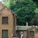 中山大学(广州校区南校园) - 广州市旅游 缩略图 8