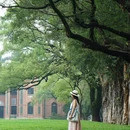 中山大学(广州校区南校园) - 广州市旅游 缩略图 6
