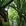 广州市·中山大学(广州校区南校园)