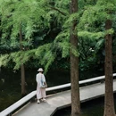 广州兰圃 - 广州市旅游 缩略图 8
