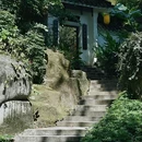 广州兰圃 - 广州市旅游 缩略图 4