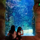 珠海横琴长隆国际海洋度假区 - 珠海市旅游 缩略图 2