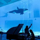 珠海横琴长隆国际海洋度假区 - 珠海市旅游 缩略图 4