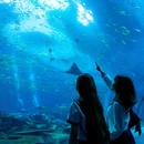 珠海横琴长隆国际海洋度假区 - 珠海市旅游 缩略图 6