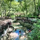 乐山大佛风景区 - 乐山市旅游 缩略图 4