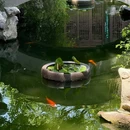 苏州园林-柴园 - 苏州市旅游 缩略图 6